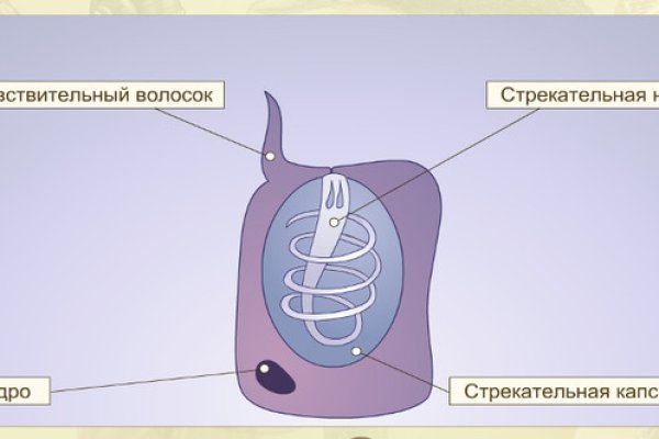 Дарк маркетплейс кракен