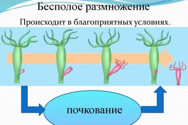 Кракен оригинальная ссылка для тор